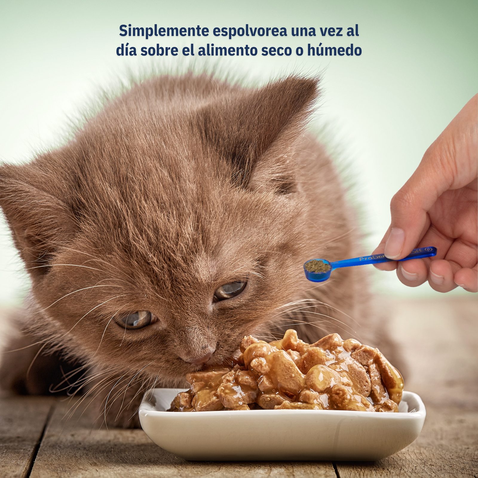 ProDen PlaqueOff® Polvo Gato, foto 3 de 4